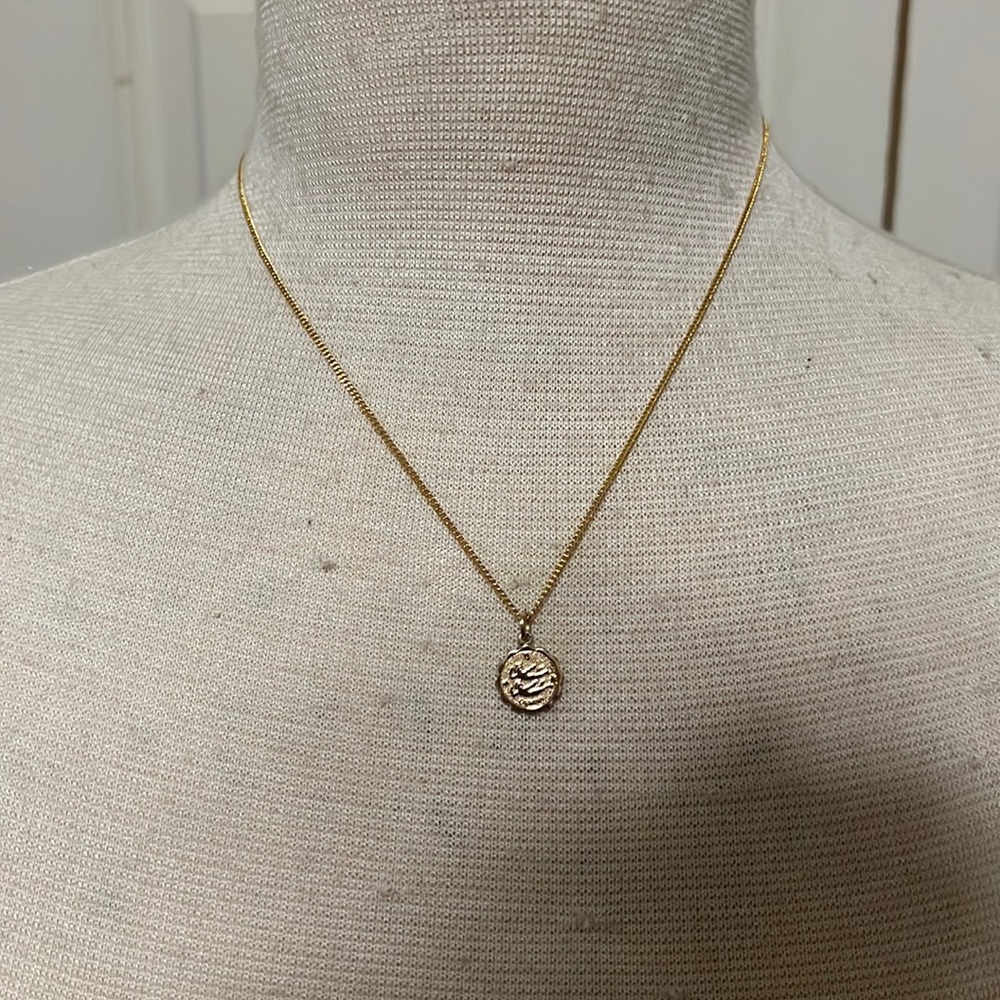 Dainty Gemini charm necklace